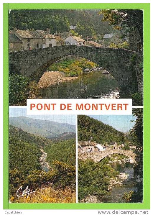 LE PONT DE MONTVERT - Carte Vierge Datée De 1984 - Le Pont De Montvert