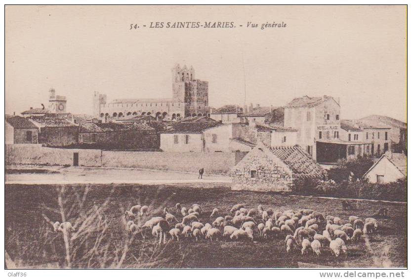 CPA BOUCHES DU RHONE 13 LES SAINTES MARIES DE LA MER  N°54  Vue Général - Saintes Maries De La Mer