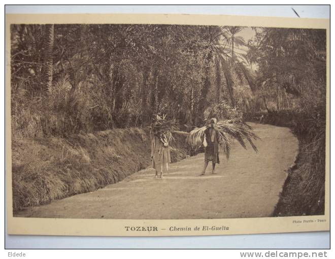 Tozeur  Chemin De El Guelta  Photo Perrin Tunis - Tunisie