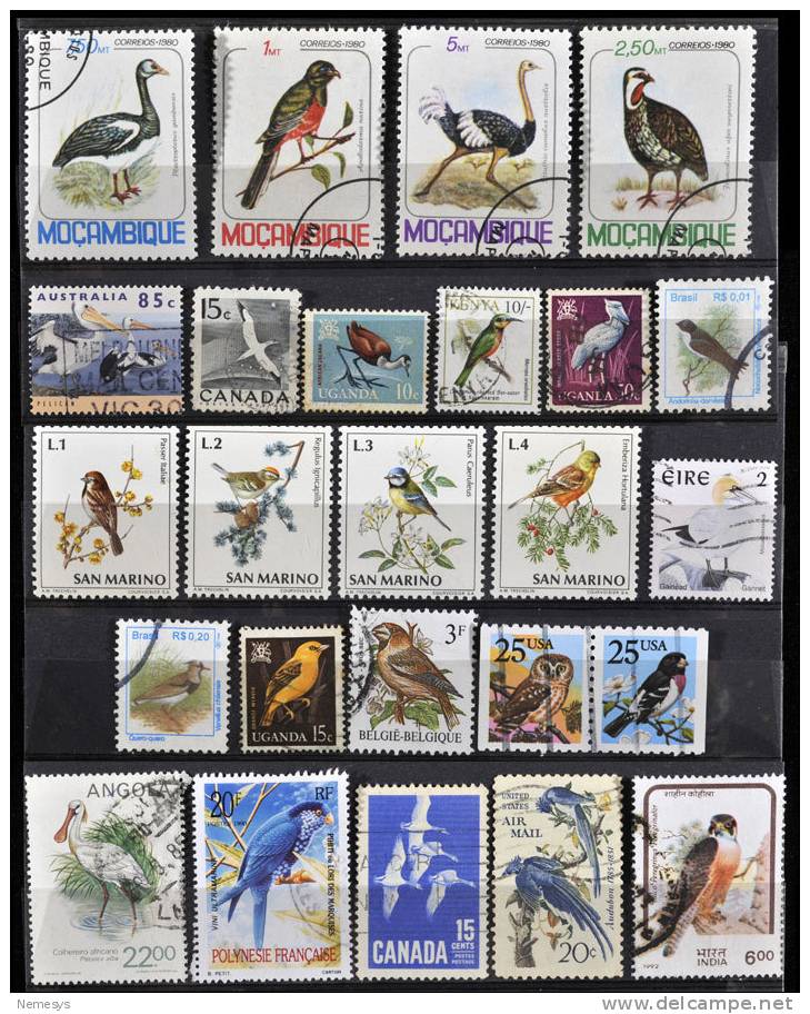 LOT OF UCCELLI BIRDS FROM ALL THE WORLD - Collections, Lots & Séries