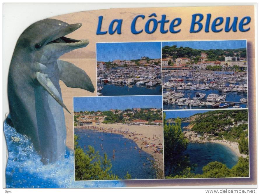 Dauphin :La Cote Bleue - BDR Sausset Les Pins -Carry Le Rouet - La Couronne  - Calanque Des Eaux Salées 2009 - Dolfijnen