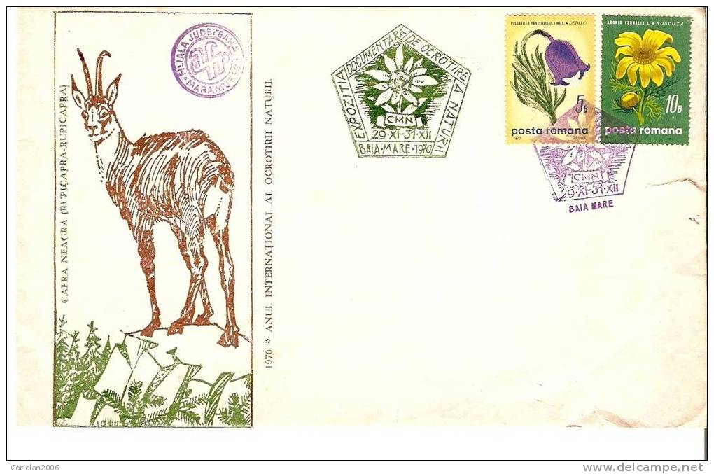Romania / Special Cover With Special Cancellation / World Year For Protection Of Nature - Nature