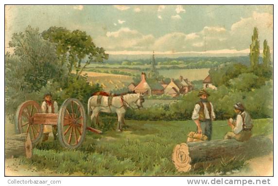 URUGUAY Farmwork Outside City POSTCARD- Cattle Horse Carriage Lumberjack - 1900-1949