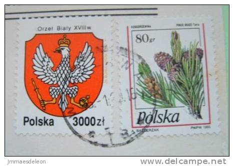 Poland 1996 Cover Sent To Nicaragua - Coat Of Arms Pine Branch And Cones - Briefe U. Dokumente