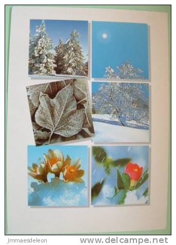 Switzerland 2004 Illustrated Postcard To Belgium - Snow Winter Flowers Leaves Sun - Flowers Stamps - Covers & Documents