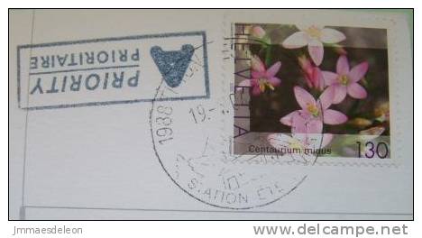 Switzerland 2004 Illustrated Postcard To Belgium - Snow Winter Flowers Leaves Sun - Flowers Stamps - Covers & Documents