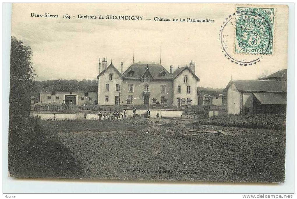 SECONDIGNY (environs)     -     Château De La Papinaudière. - Secondigny