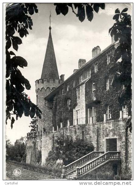 FLORENNES- LE CHATEAU VU DE L´ALLEE DES MARRONNIERS-CARTE ENVOYEE!!! - Florennes