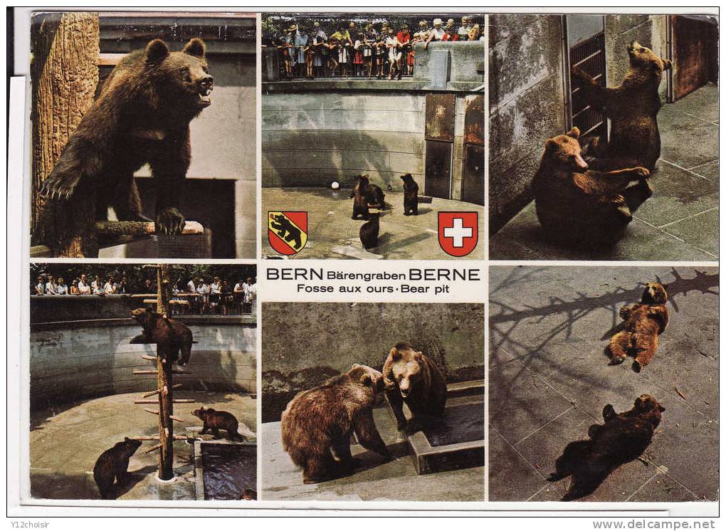 CPSM BERN FOSSE AUX OURS BERNE BARENGRABEN BEAR PIT SUISSE - Bears