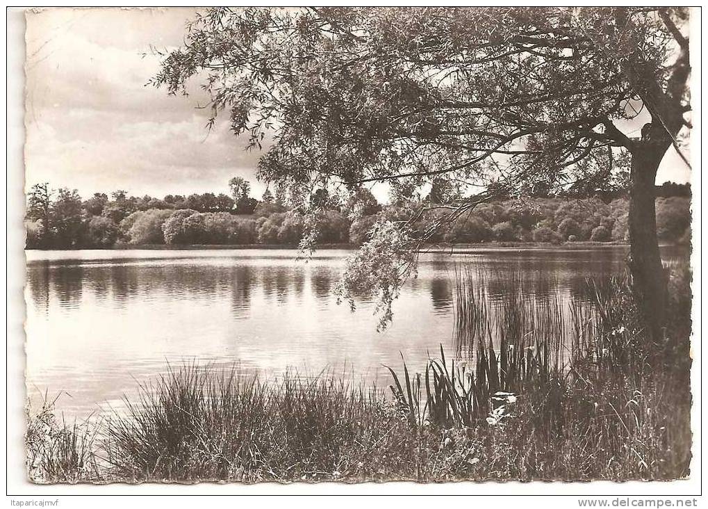 Creuse : CHENERAILLES  L ' étang  Sannes  1967 - Chenerailles