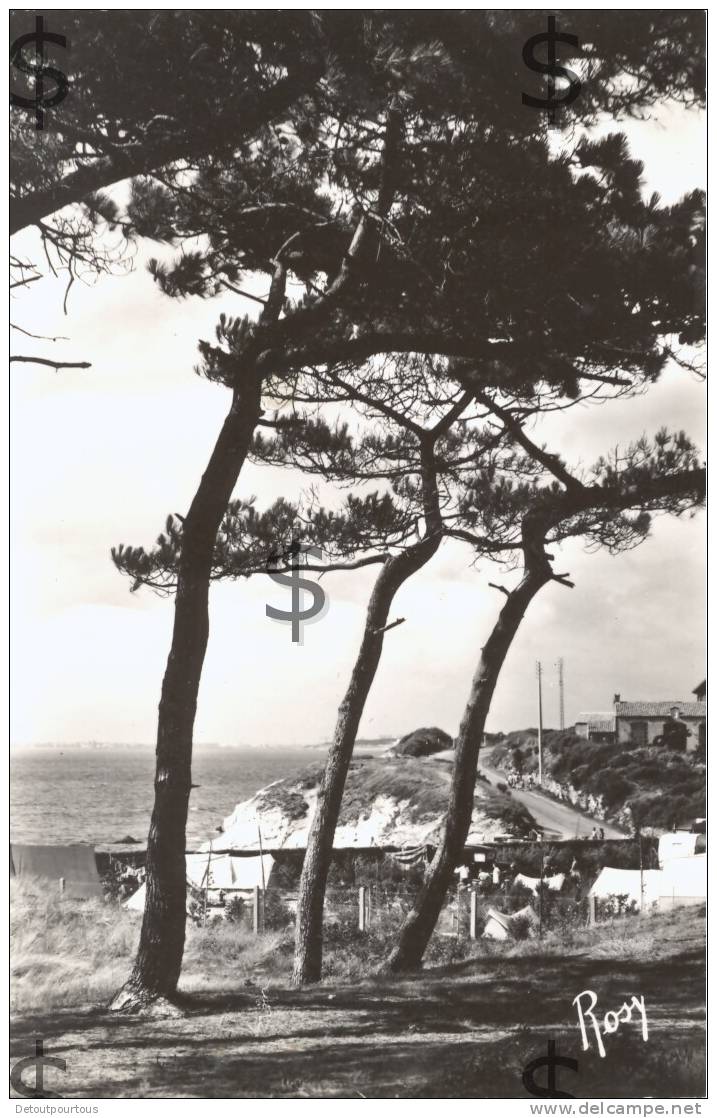 SAINT ST MICHEL CHEF CHEF Loire Atlantique 44 : Vue Sur La Mer à Travers Les Pins Et  Camping - Saint-Michel-Chef-Chef