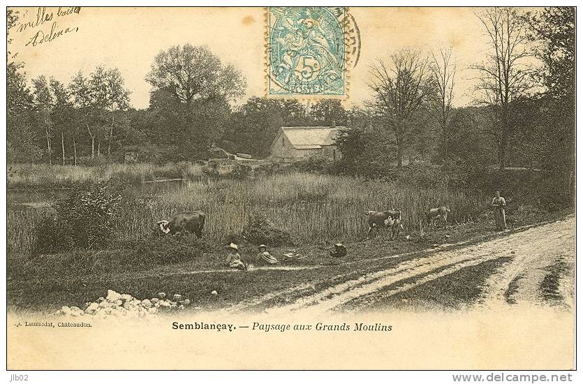 Semblançay - Paysage Aux Grands Moulins - Semblançay