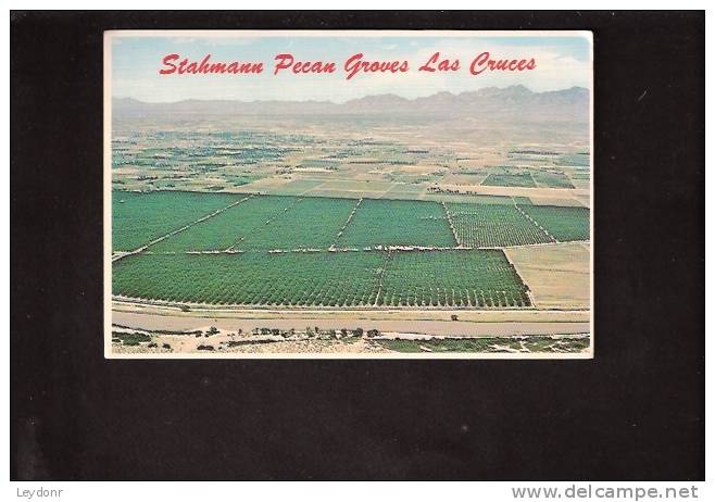 Stahmann Pecan Groves Las Cruces, New Mexico - Other & Unclassified