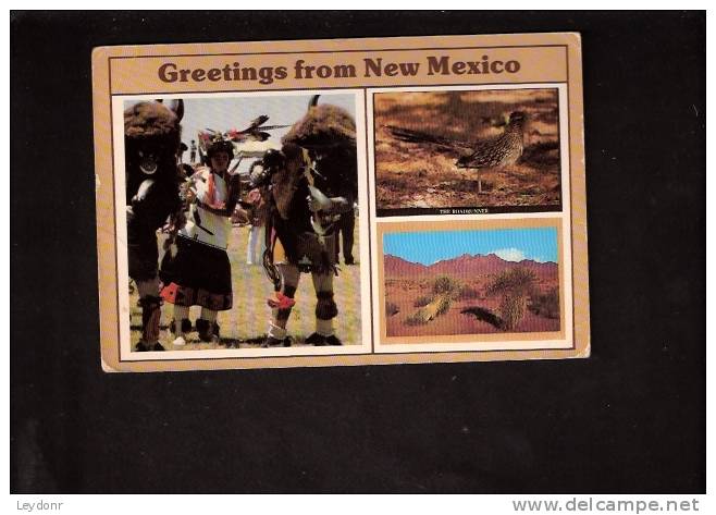 Greetings From New Mexico - Autres & Non Classés