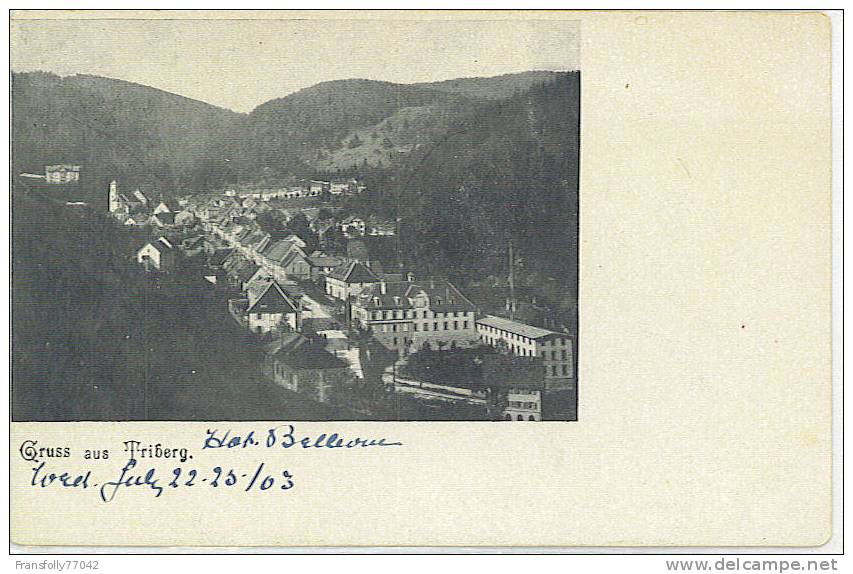 TRIBERG GERMANY Panoramic THE VILLAGE 1903 - Triberg