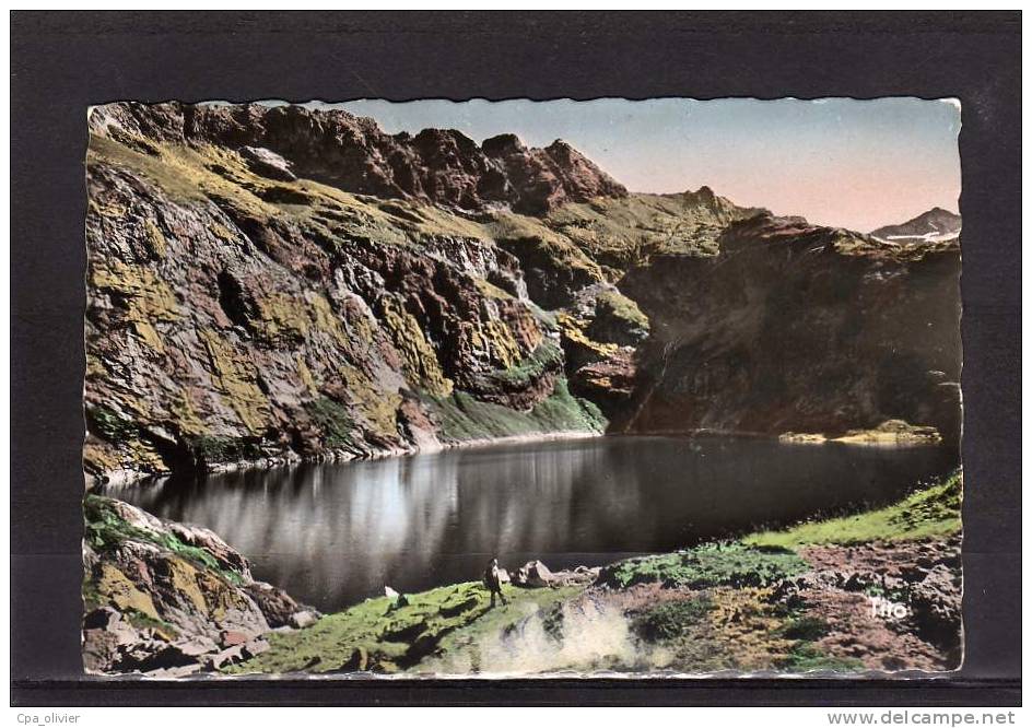 65 VALLEE LOURON (envs Vielle Aure Arreau) Lac De Caillaouas, Ed Tito 919, CPSM 9x14, 195? - Vielle Aure