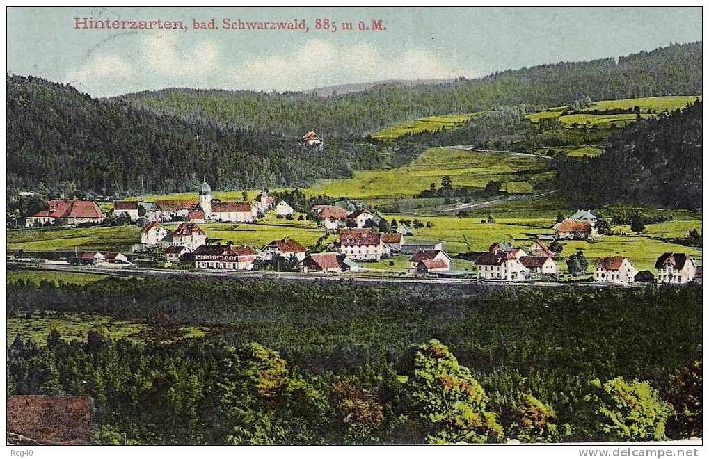 ALLEMAGNE - HINTERZARTEN, Bad. SCHWARZWALD,  885 M. - Hinterzarten