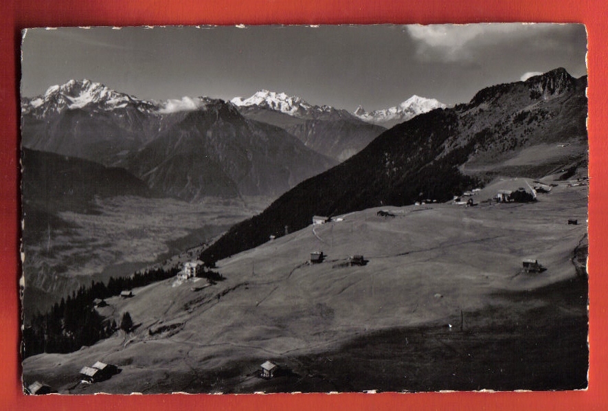 V137 Riederalp Mit Rhonetal, Fletschhorn,Mischabel,Matterhorn,Weisshorn.Cachet 1952.Gyger 19543 - Riederalp