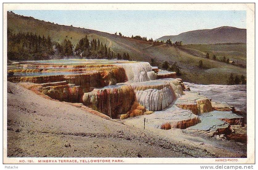 Yellowstone National Park - Minerva Terrace - Pub. By Haynes - Neuve - Voir Recto Verso - USA Nationale Parken