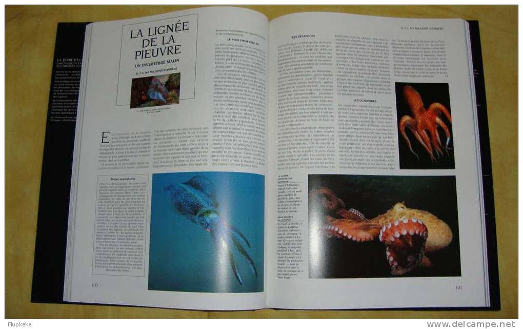 Encyclopédie Larousse La Mer Et La Vie, La Terre Et La Vie En Coffret 1991-1994 Préface De Jacques-Yves Cousteau - Enciclopedie