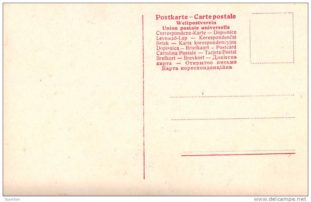 COMPOSITEUR, PIANISTE Et HOMME POLITIQUE : JAN PADEREWSKI (1860-1941) - CARTE ´VRAIE PHOTO´ - ANNÉE: ENV. 1905 (d-949) - Musik Und Musikanten