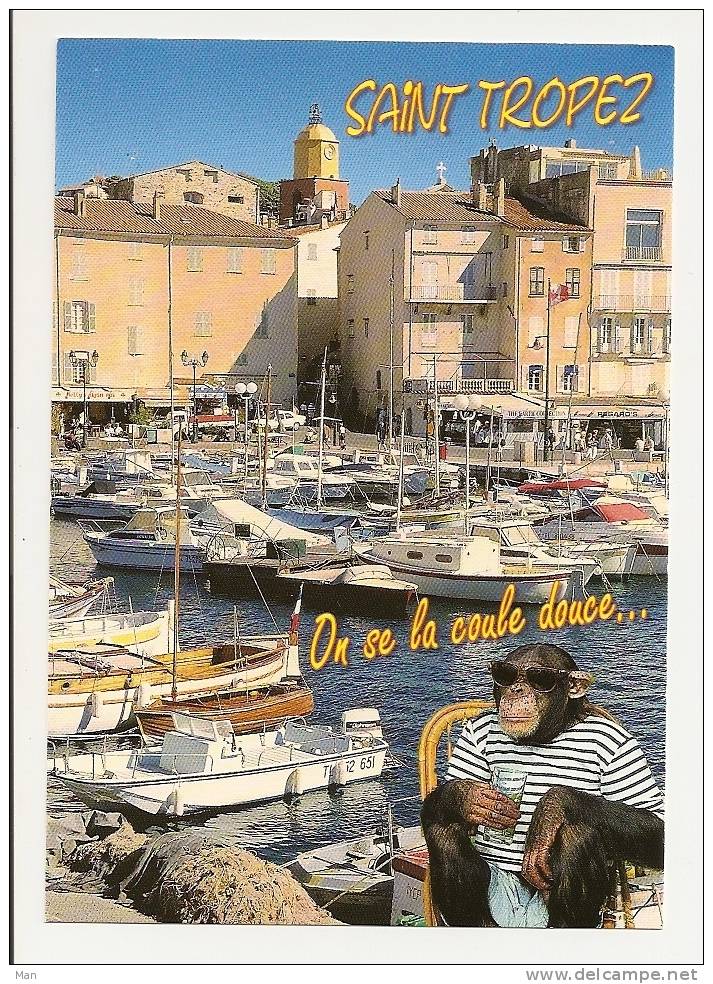 Singe: Chimpanze Avec Lunettes Sur Le Port De Saint Tropez, On Se La Coule Douce, Photo M.S. (10-686) - Monos