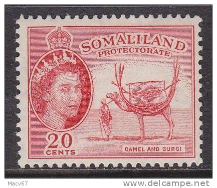 Somaliland  131  *  FAUNA  CAMAL - Somaliland (Protectorate ...-1959)