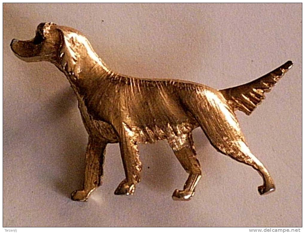 Broche Dorée Chien Epagneul Ou Golden Retriver - Brooches