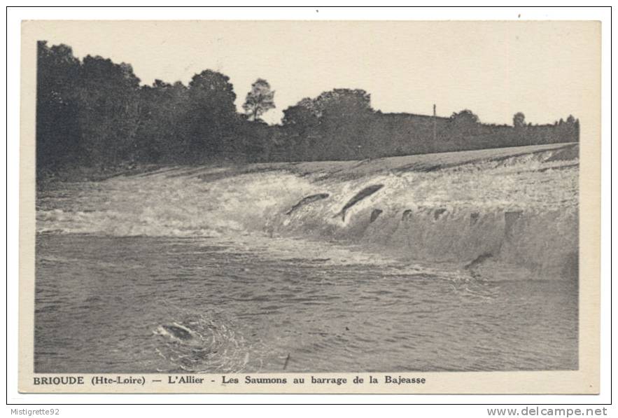 BRIOUDE, Hte-Loire (43). L´Allier - Les Saumons Au Barrage De La Bajeasse. - Brioude