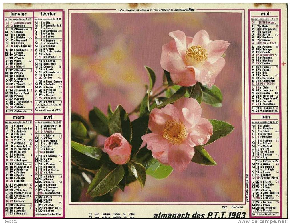 CALENDRIER ALMANACH DES PTT 1983 - Grossformat : 1981-90