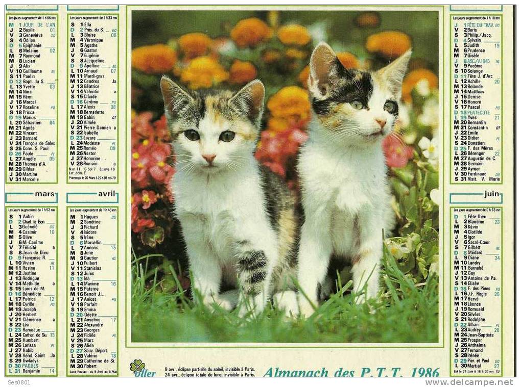 CALENDRIER ALMANACH DES PTT 1986 - Formato Grande : 1981-90