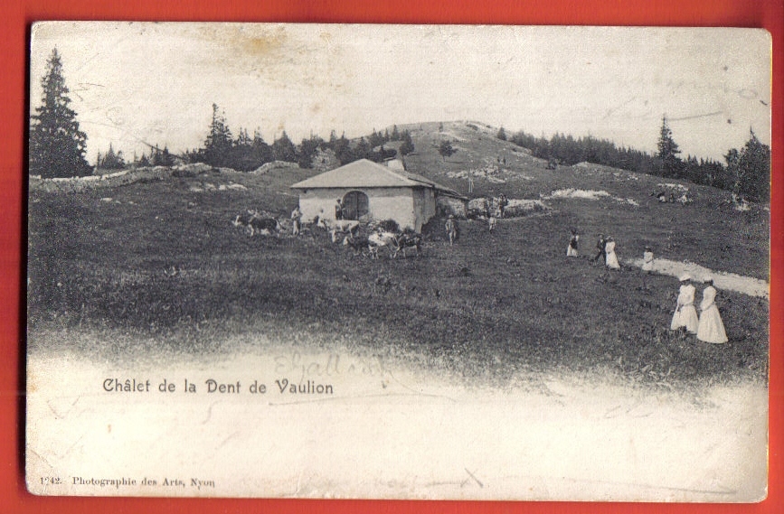 V185 Châlet De La Dent De Vaulion. Elégantes Et Troupeau Vaches.ANIME.Précurseur.Cachet Soliat 1904.Photo Des Arts 1342 - Vaulion