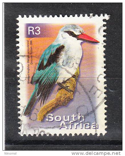 Sud Africa  -  2000.  Picchio.  Woodpecker. - Spechten En Klimvogels