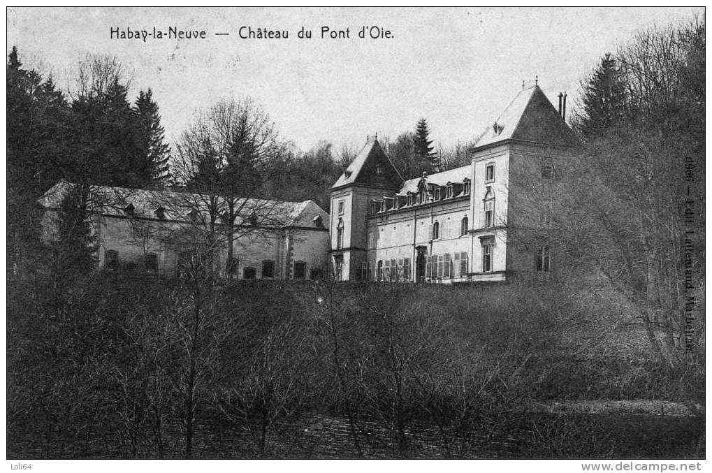 /BELGIQUE/  HABAY LA NEUVE  CHATEAU DU PONT D OIE - Habay