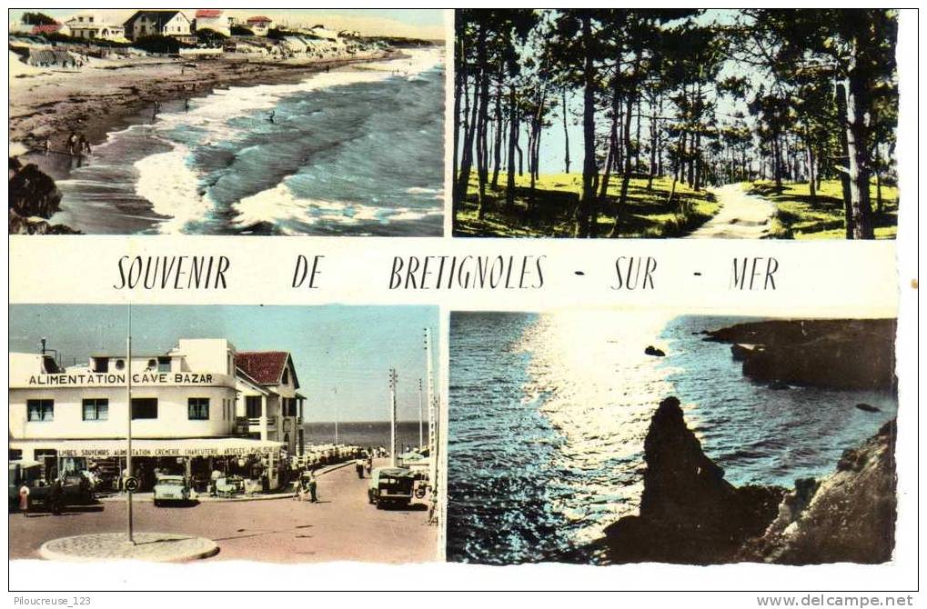 85 -BRETIGNOLLES SUR MER - Carte Multivues "Souvenir" - Bretignolles Sur Mer