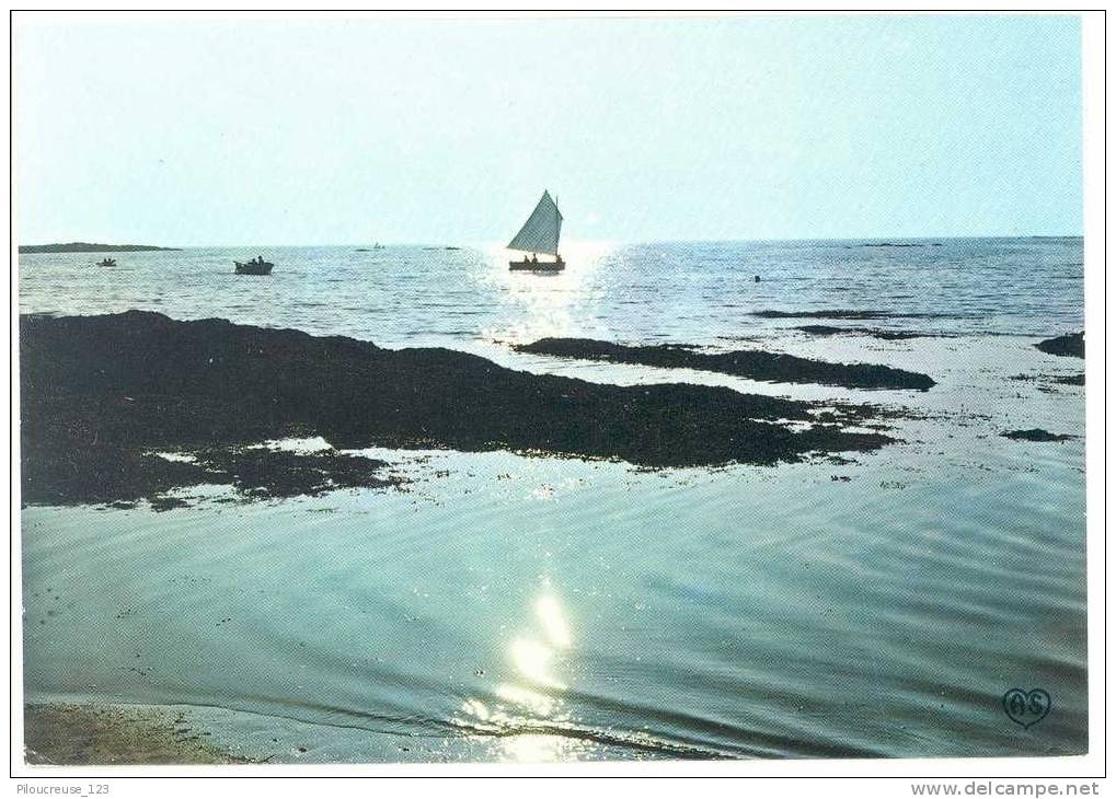 85 -BRETIGNOLLES SUR MER -"La Mouine Et La Grand'Roche" - Bretignolles Sur Mer