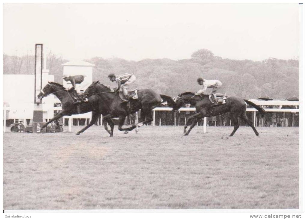 HIPPISME PREMIER VIOLON  PRIX NOAILLES 1967  VERITABLE PHOTO DE PRESSE 18X12.5 BEL ETAT VOIR SCAN - Hippisme