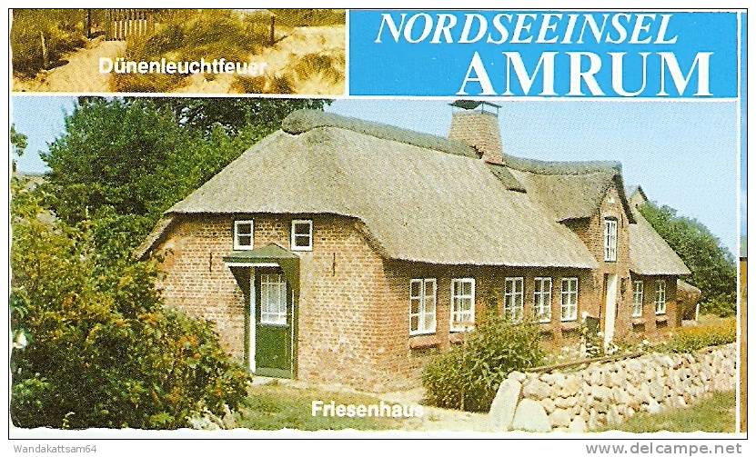 AK 812 NORDSEEINSEL  AMRUM Mehrbildkarte 4 Bilder Mühle Friesenhaus Leuchtturm 8.3.93-10 2278 WITTDÜN AMRUM Werbestempel - Nordfriesland