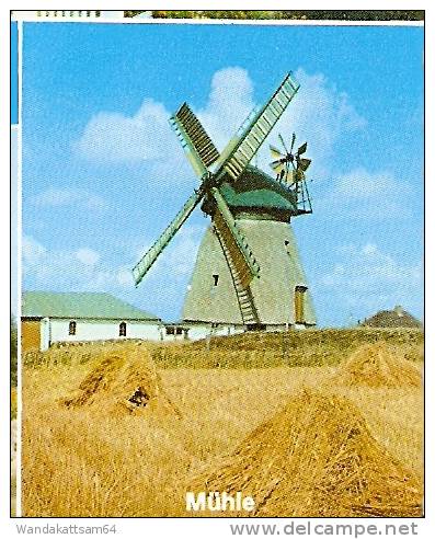 AK 812 NORDSEEINSEL  AMRUM Mehrbildkarte 4 Bilder Mühle Friesenhaus Leuchtturm 8.3.93-10 2278 WITTDÜN AMRUM Werbestempel