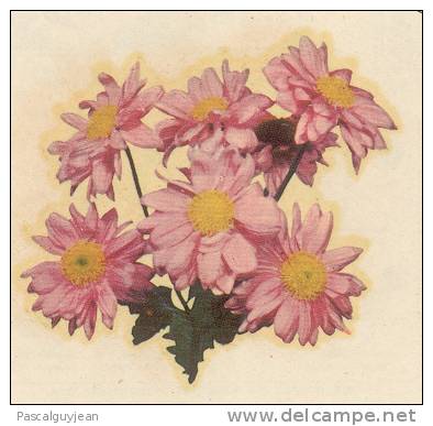 Décalcomanie Années 50 - Fleur - Chrysantheme - Autres & Non Classés