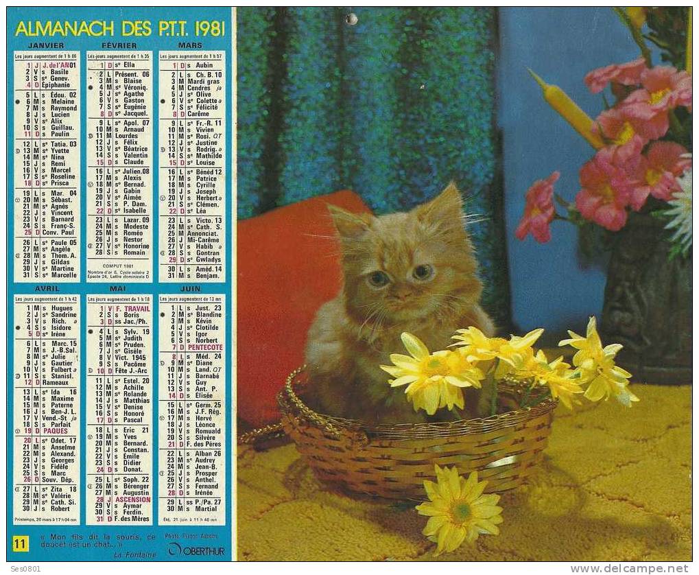 CALENDRIER ALMANACH DES PTT De 1981 - Groot Formaat: 1981-90