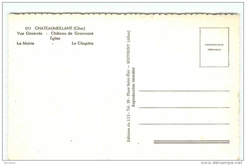 18 - CHATEAUMEILLANT - SOUVENIR De ... - MULTIVUES - CPSM Petit Format -  Scan Recto-verso - Châteaumeillant