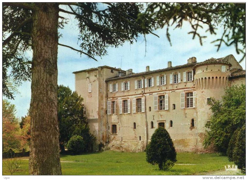 CPSM - 81 - RABASTENS - Château De Saint-Géry - Vu Du Parc -  603 - Rabastens
