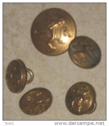 Lot De 5 Boutons Belges WW1 - 1914-18