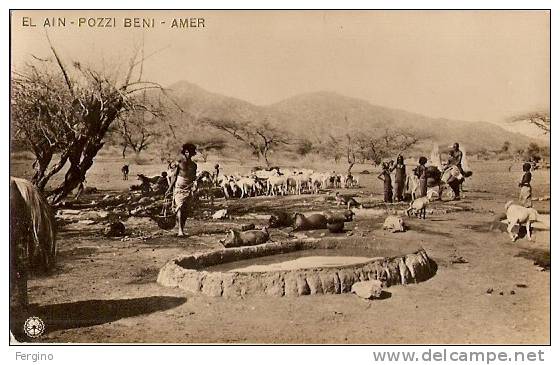 8391 - EL AIN - POZZI BENI - AMER (ERITREA ?) - Eritrea