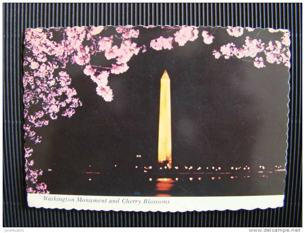 CPSM ETATS UNIS-Washington Monument And Cherry Blossoms - Washington DC