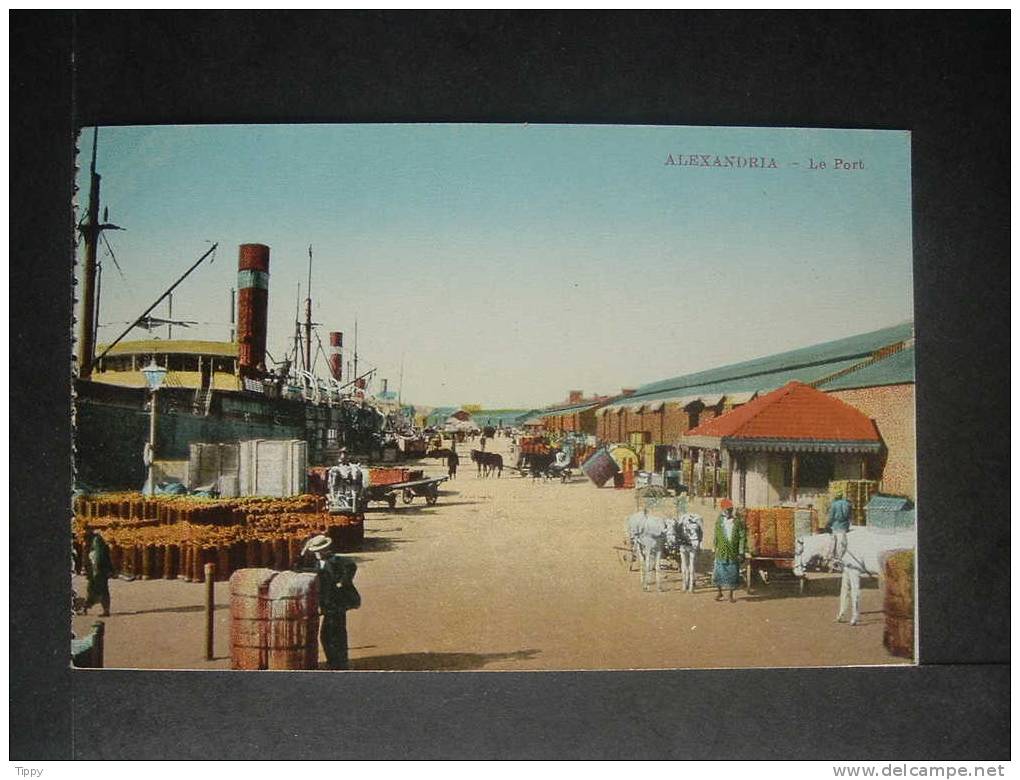 ** Cargo Ready To Be Loaded. Alexandria, Egypt Dock Scene. Freighters - Sonstige & Ohne Zuordnung