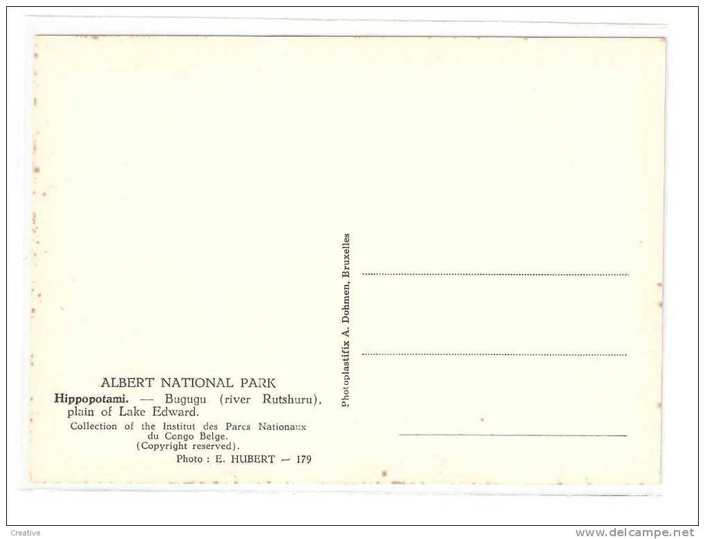 HIPPOPOTAMI.Vitshumbi,pla In  E  Du Lac Edouard.Parc National Albert (2scans) - Éléphants