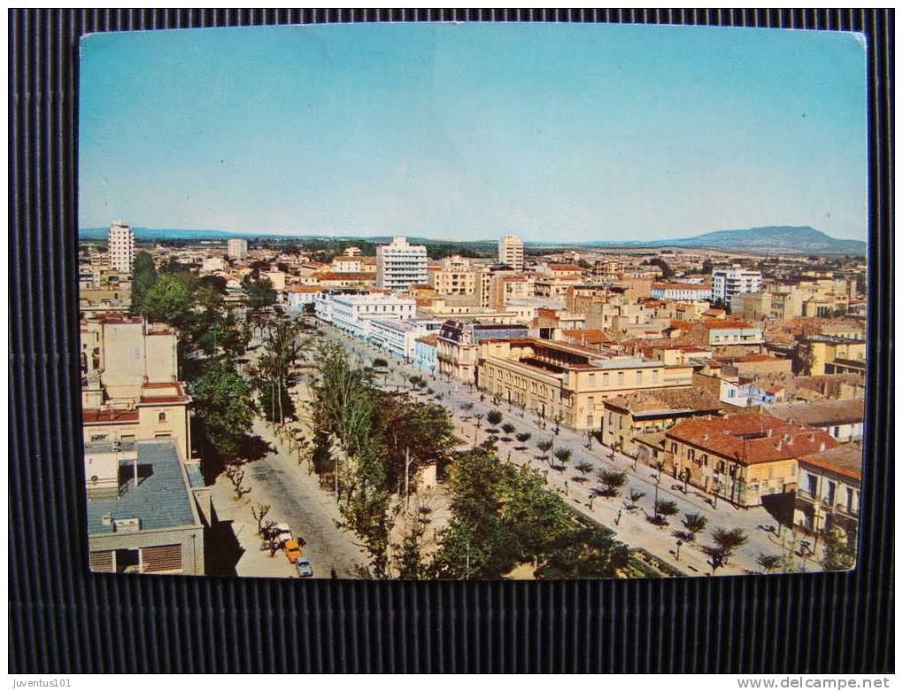 CPSM ALGERIE-Sidi Bel Abbes - Sidi-bel-Abbès