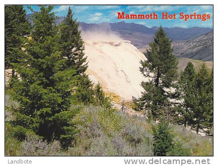 Mammouth Hot Spprings - Yellowstone National Park - Yellowstone